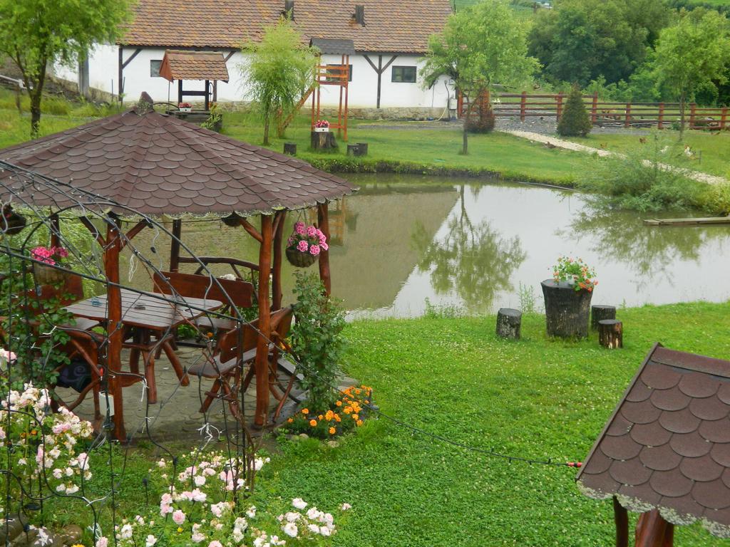 Pensiunea Violeta Saschiz Exteriér fotografie
