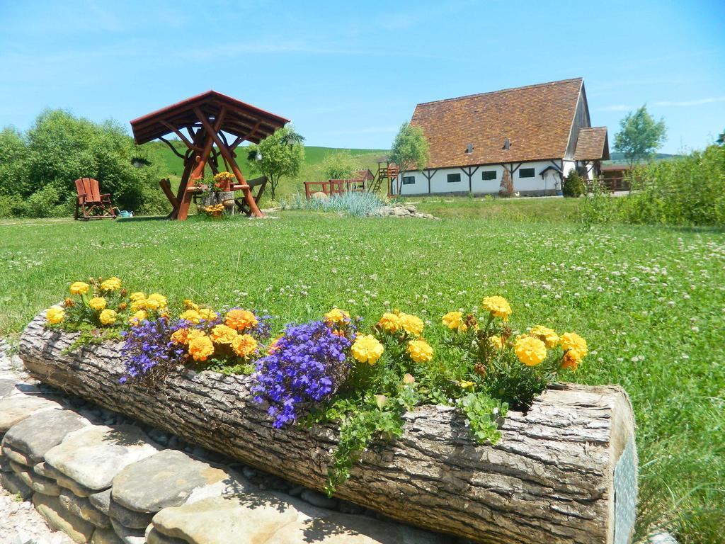 Pensiunea Violeta Saschiz Exteriér fotografie