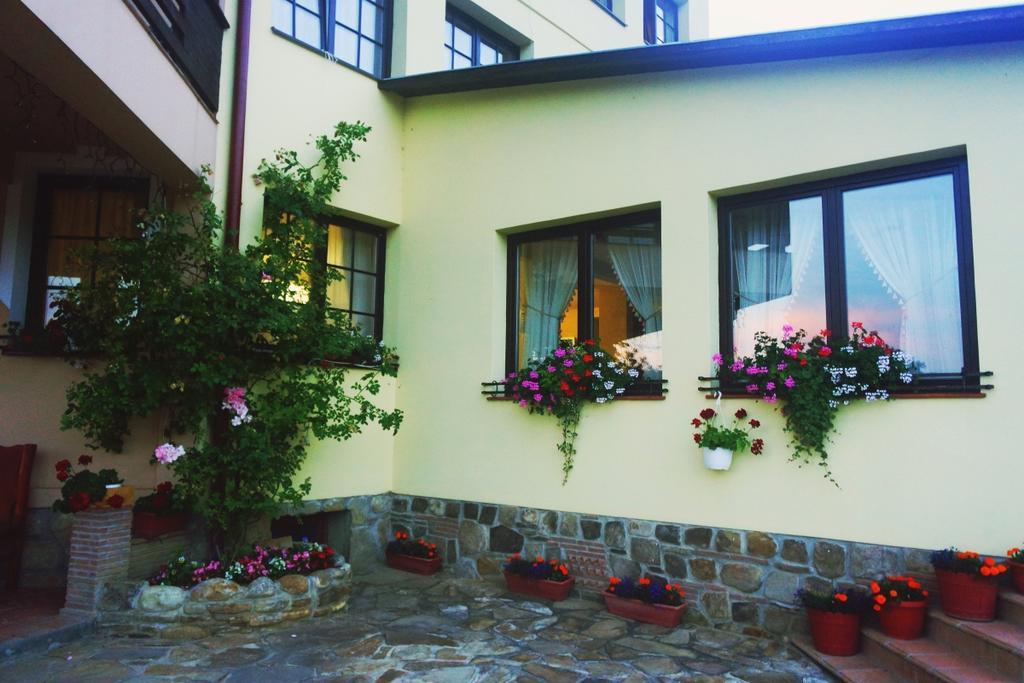 Pensiunea Violeta Saschiz Exteriér fotografie