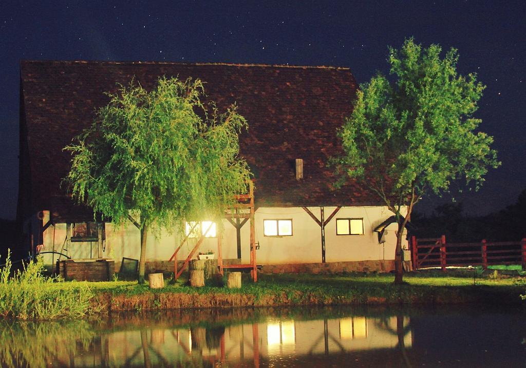 Pensiunea Violeta Saschiz Exteriér fotografie