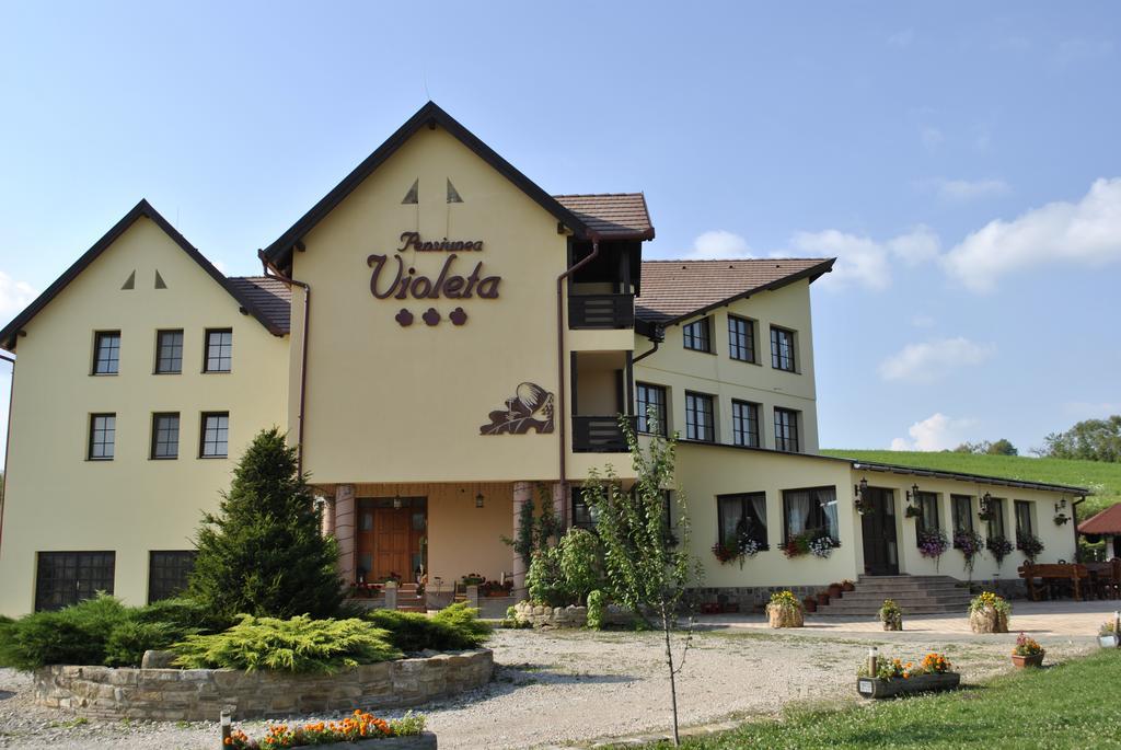 Pensiunea Violeta Saschiz Exteriér fotografie