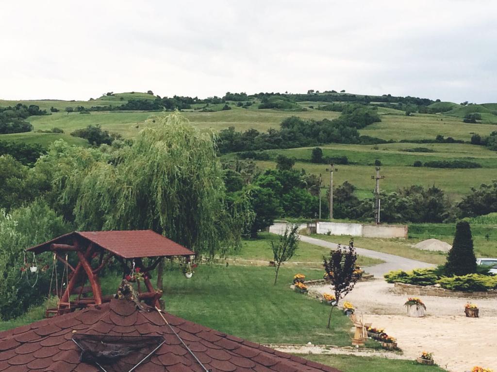 Pensiunea Violeta Saschiz Exteriér fotografie